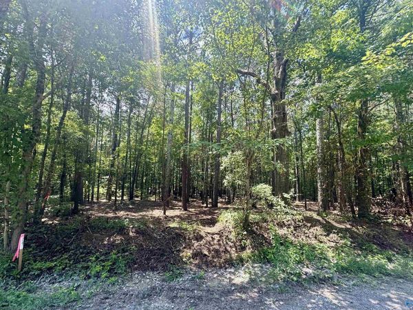 24 County Road 1011, Unit 24,29-31, Centre, AL 35960