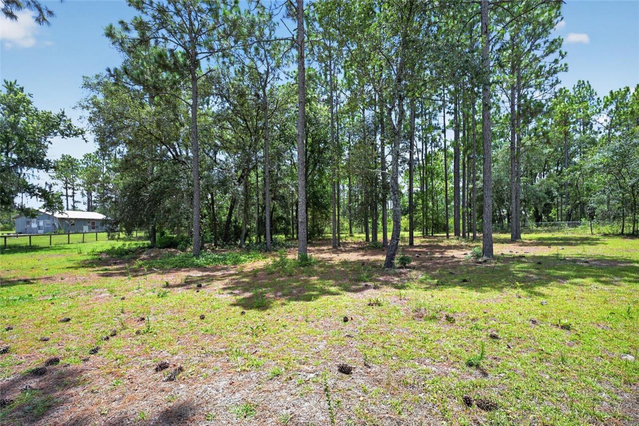 5730 SE 120th Avenue, Morriston, FL 32668 Photo