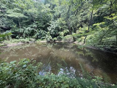 1191 W Adkins-Arthur Road, Somerset, KY 42501