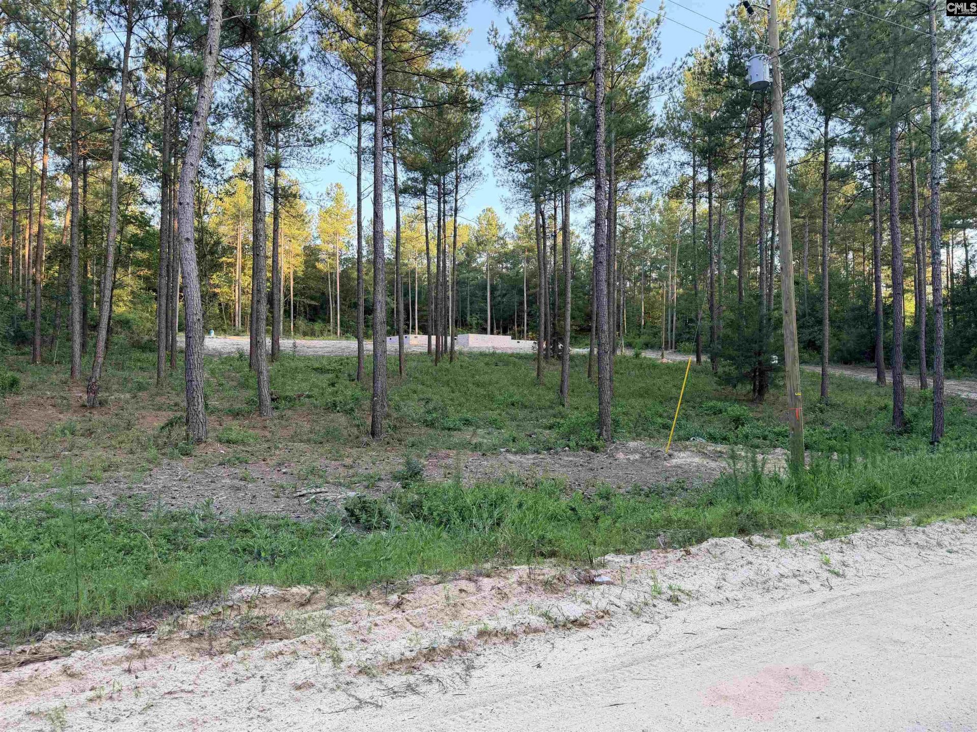 317 Tarpon Road  Photo 4