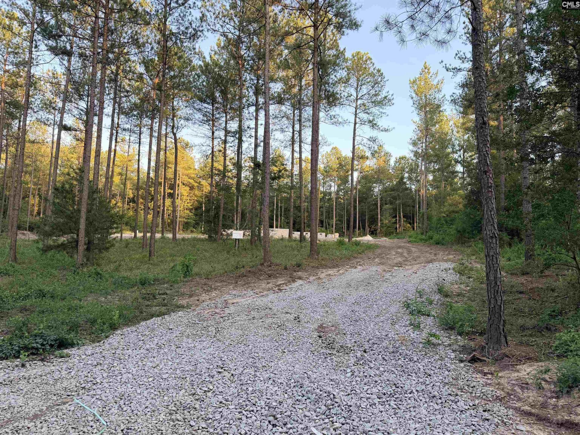 317 Tarpon Road  Photo 6