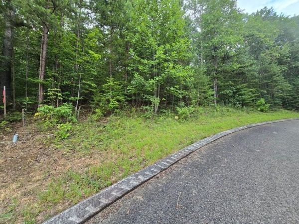 Lot 155 Lower Brow Road , Dunlap, TN 37327