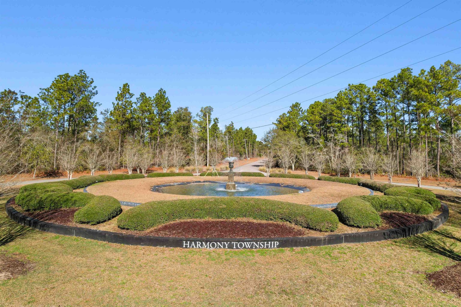 121 Pineberry Dr.  Photo 19