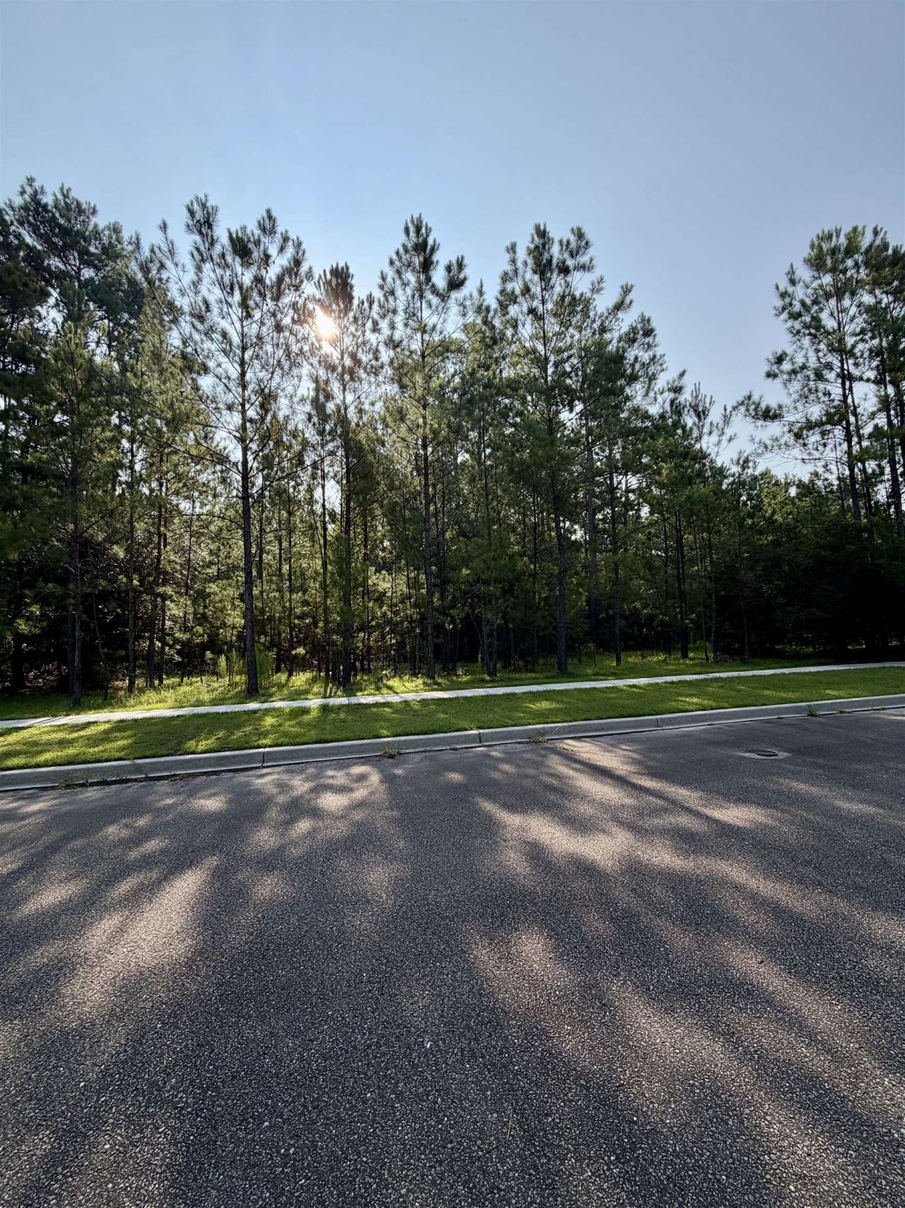 121 Pineberry Dr.  Photo 5