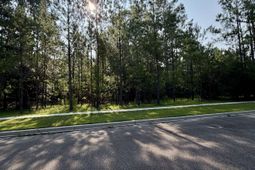 121 Pineberry Dr.  photo 4
