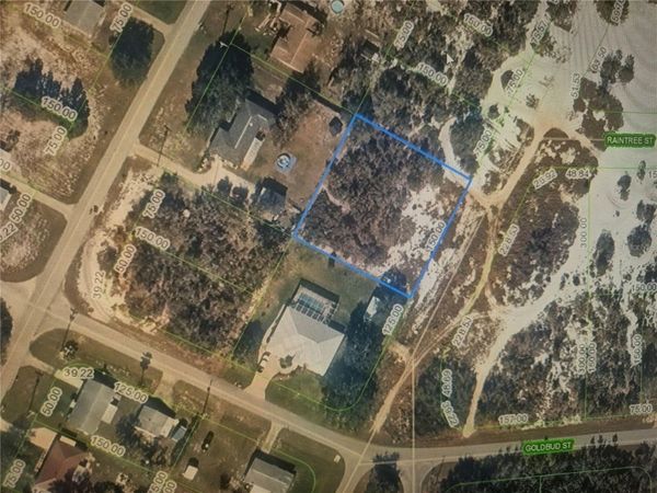 308 BOTTLEBRUSH AVENUE , LAKE PLACID, FL 33852