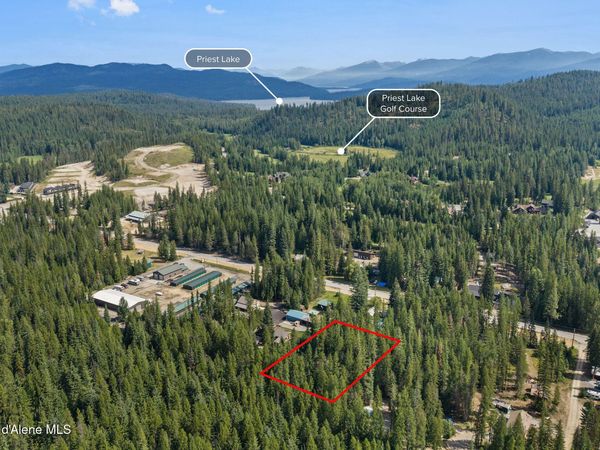 163 Shasta WAY, Priest Lake, ID 83856