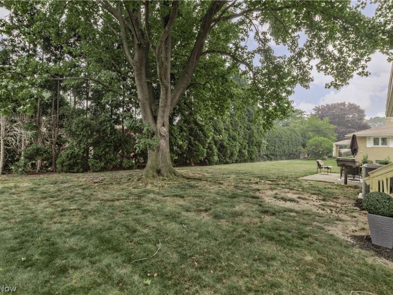 4945 Hartley Drive, Lyndhurst, OH 44124 Photo 46