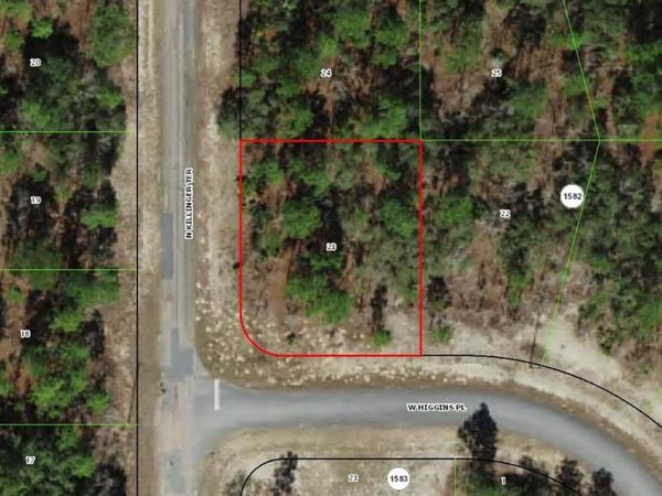 3299 W HIGGINS PLACE , CITRUS SPRINGS, FL 34433