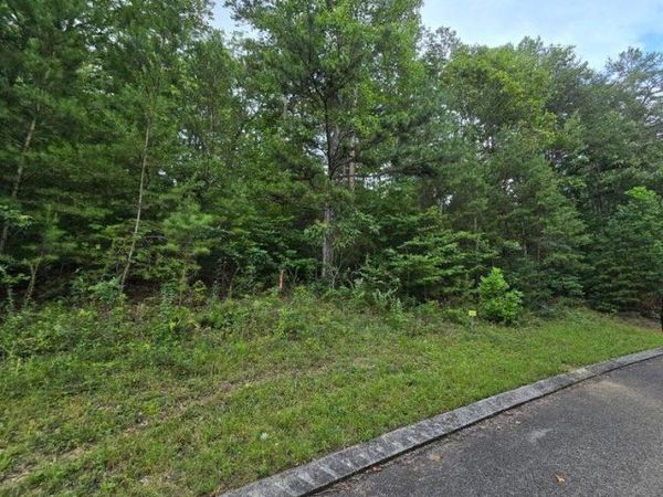 Lot 157 Lower Brow Road , Dunlap, TN 37327