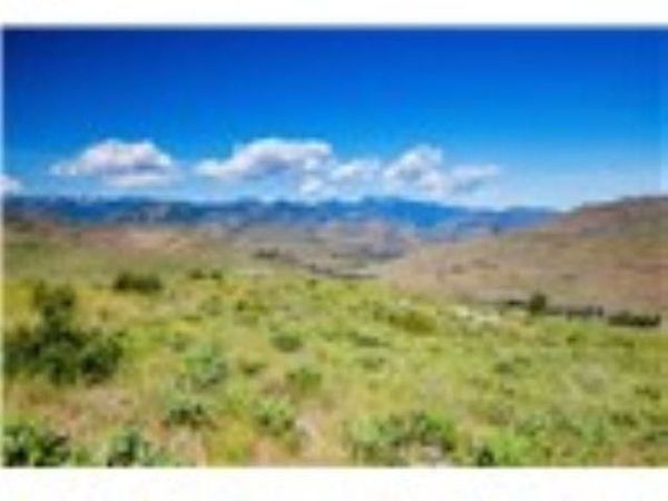xxx Sawtooth View Rd, Methow, WA 98834