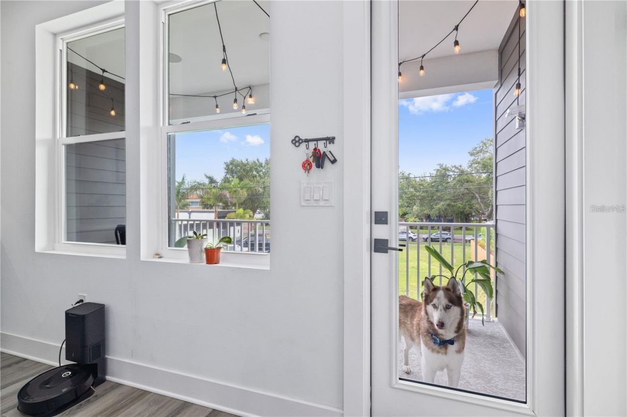 41 29th Street N, Saint Petersburg, FL 33713 Photo