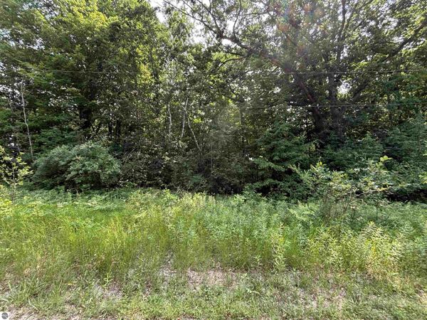White Birch Drive, Farwell, MI 48625