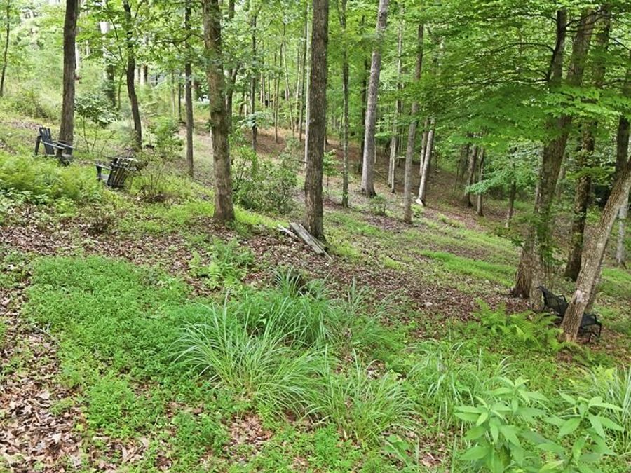 Property Image 50