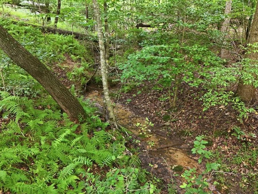Property Image 53