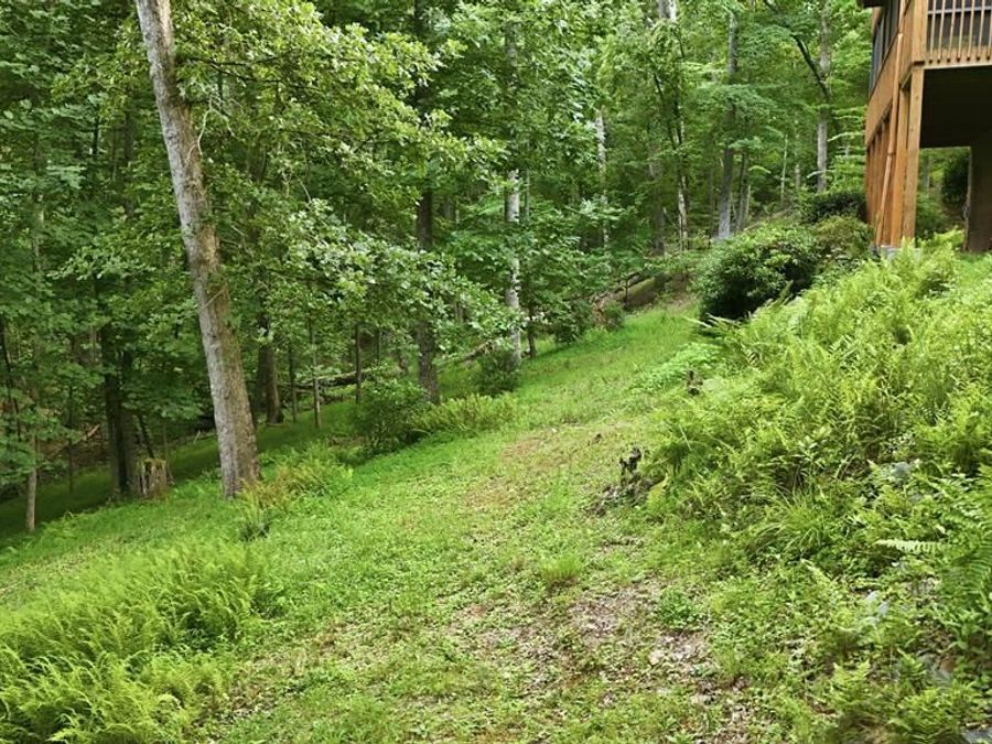 Property Image 64