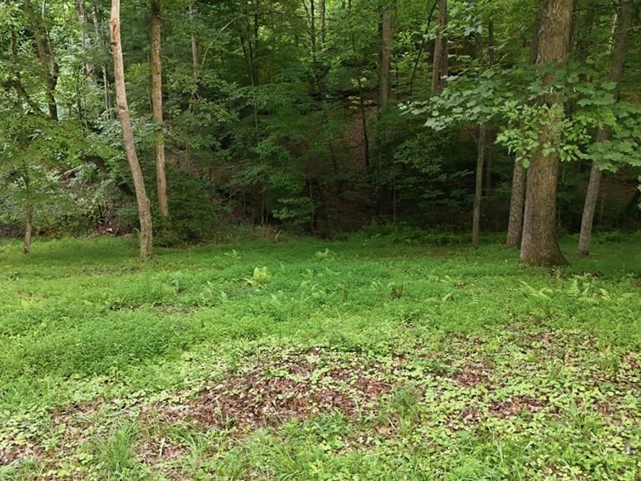 Property Image 77