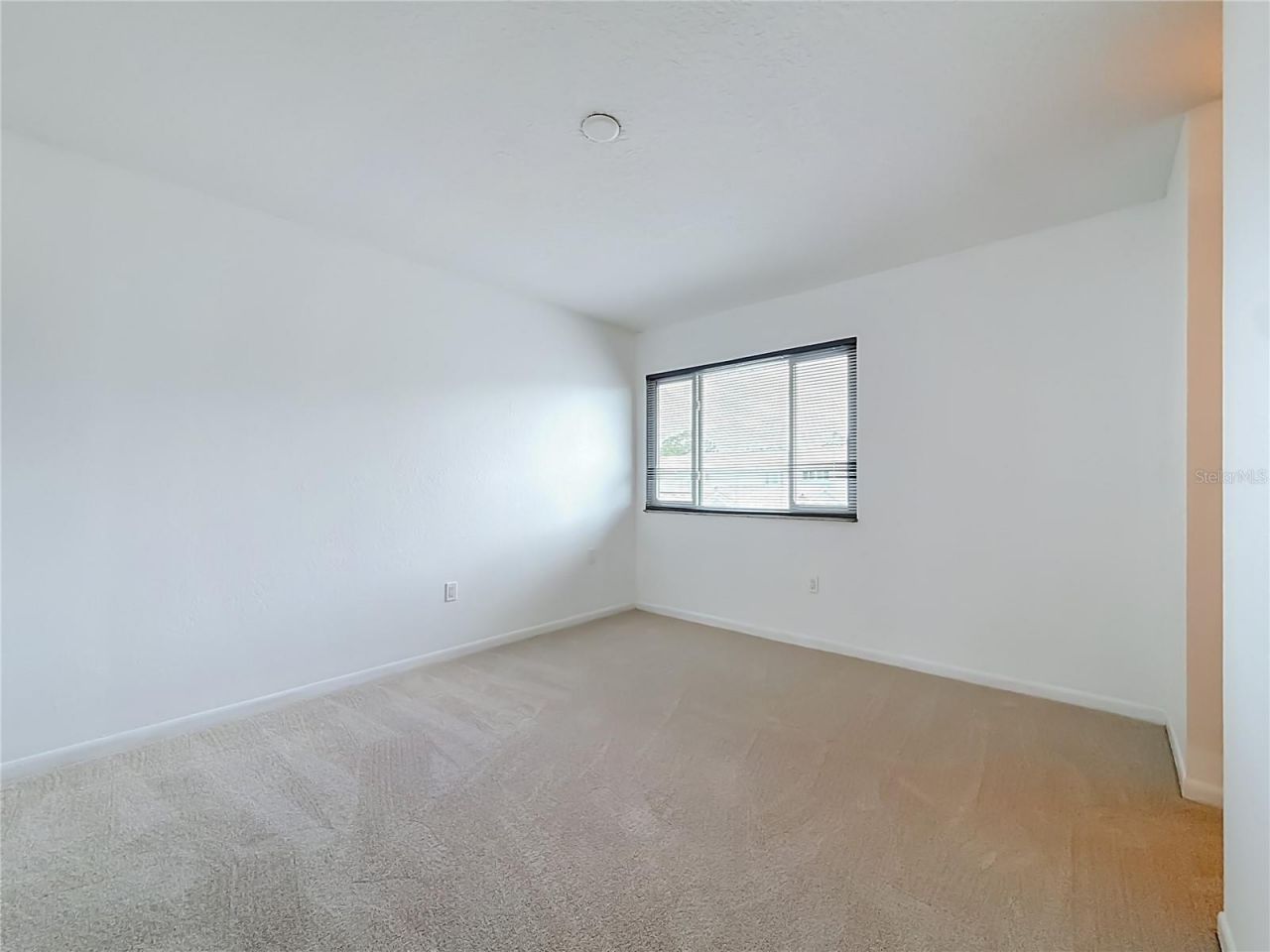 6537 Cape Hatteras Way Ne, Unit 2, Saint Petersburg, FL 33702 Photo
