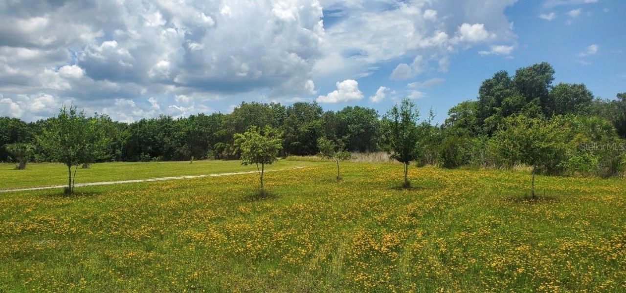 15908 W Lake Drive, Wimauma, FL 33598 Main Photo