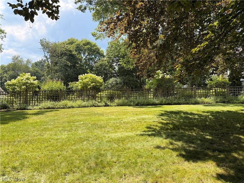 564 Merriman Road, Akron, OH 44303 Photo 6