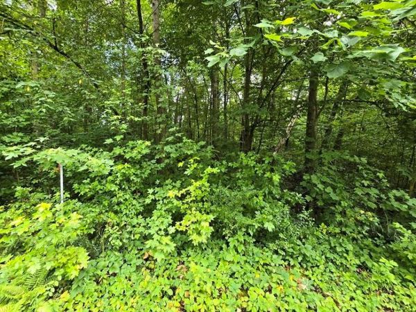 Lot 133 Lower Brow Road, Dunlap, TN 37327