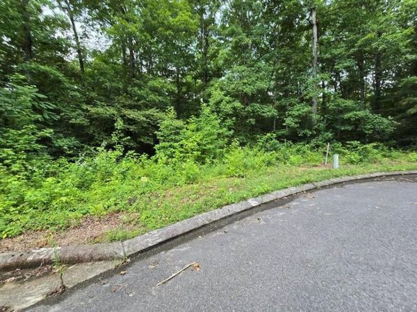 Lot 142 Lower Brow Road, Dunlap, TN 37327