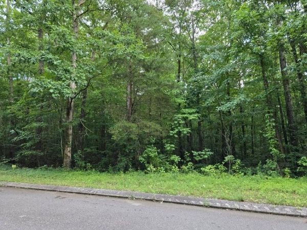 Lot 144 Lower Brow Road, Dunlap, TN 37327