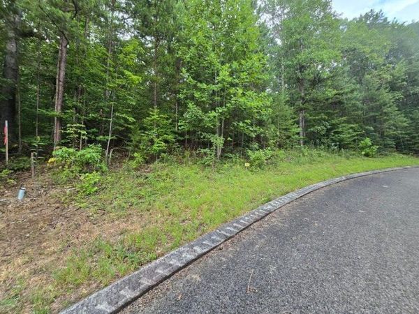 Lot 155 Lower Brow Road, Dunlap, TN 37327