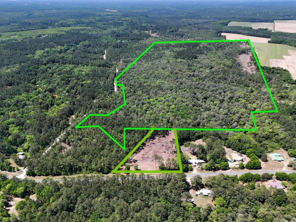168 Acres Co Hwy 1087, Unit 168 Acres, DeFuniak Springs, FL 32433