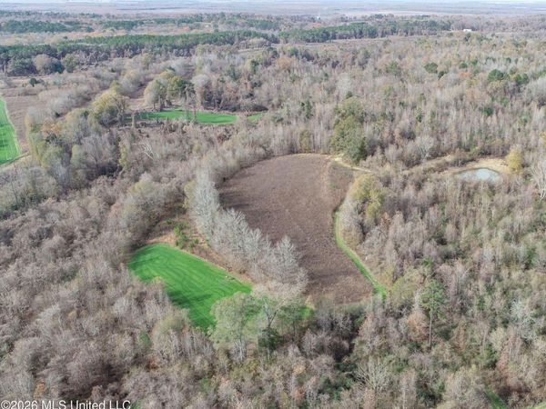 Chinqupin Road, Lexington, MS 39095