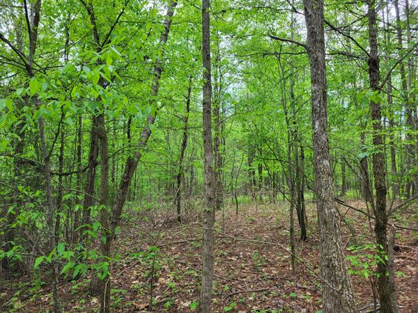 565 Valley Loop , Pikeville, TN 37367
