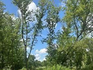 15451 Lakeview Park Drive , Fenton Twp, MI 48423