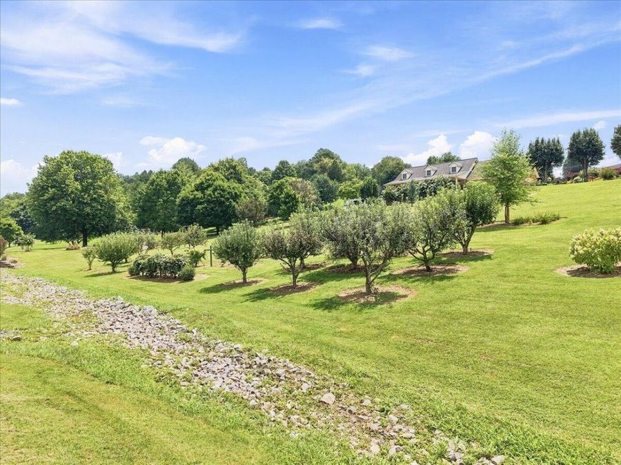 Property Image 74