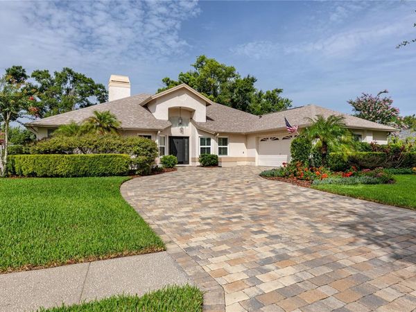 16706 WINDSOR PARK DRIVE, LUTZ, FL 33549