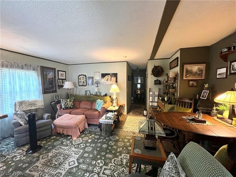 13 Cherokee Lane, Creston, OH 44217 Photo 4