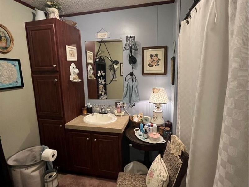 13 Cherokee Lane, Creston, OH 44217 Photo 8