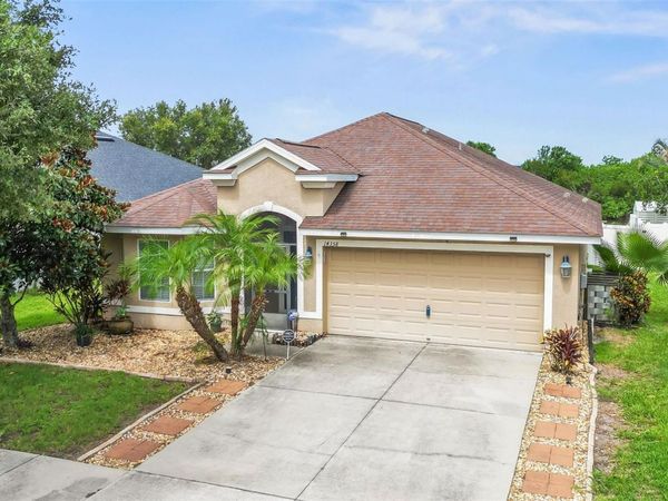 14358 EDINBURGH MOOR DRIVE , WIMAUMA, FL 33598