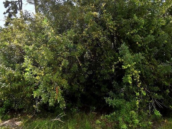 MAP AVENUE, NORTH PORT, FL 34286