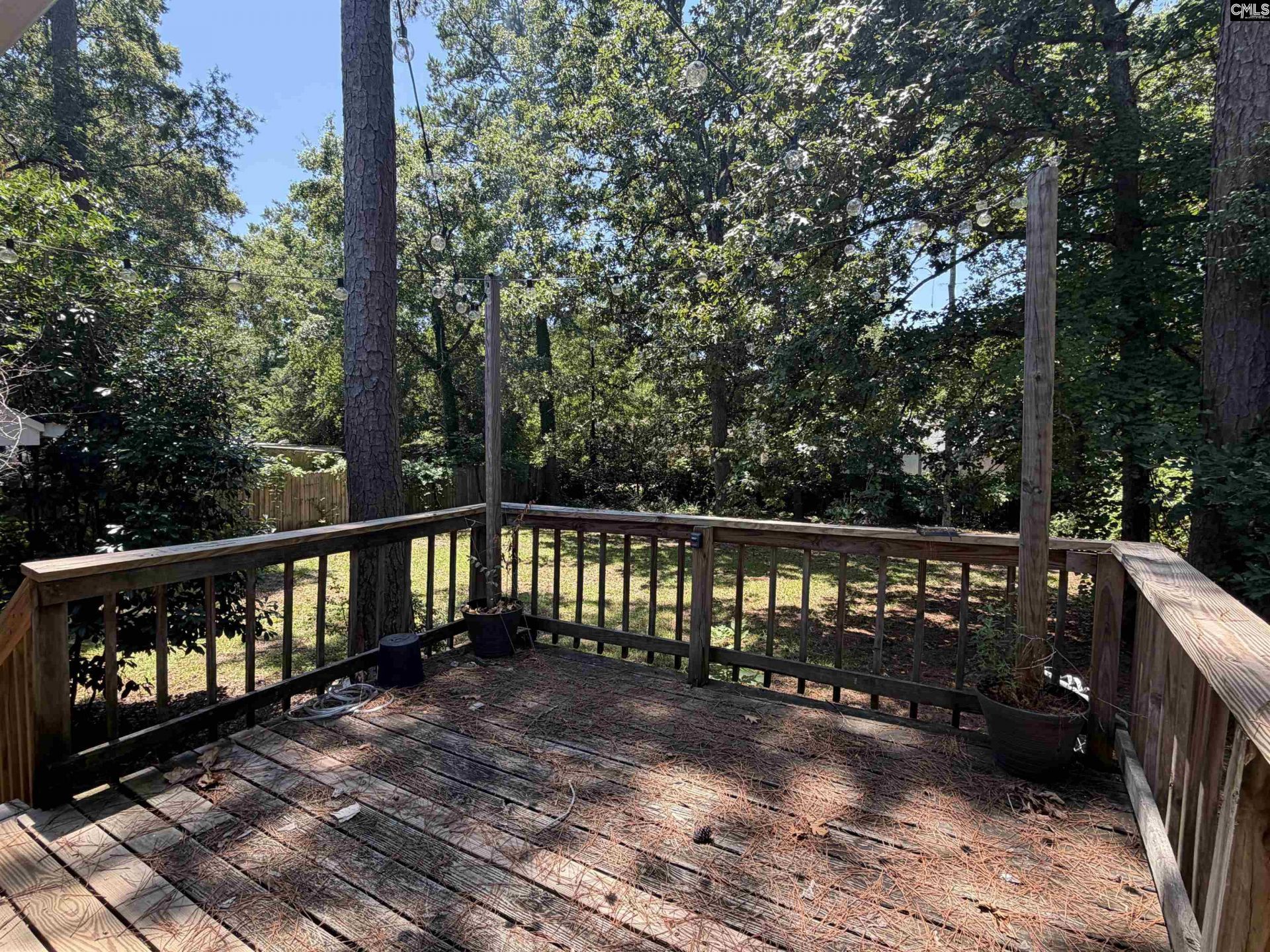 202 River Song Road Photo 4