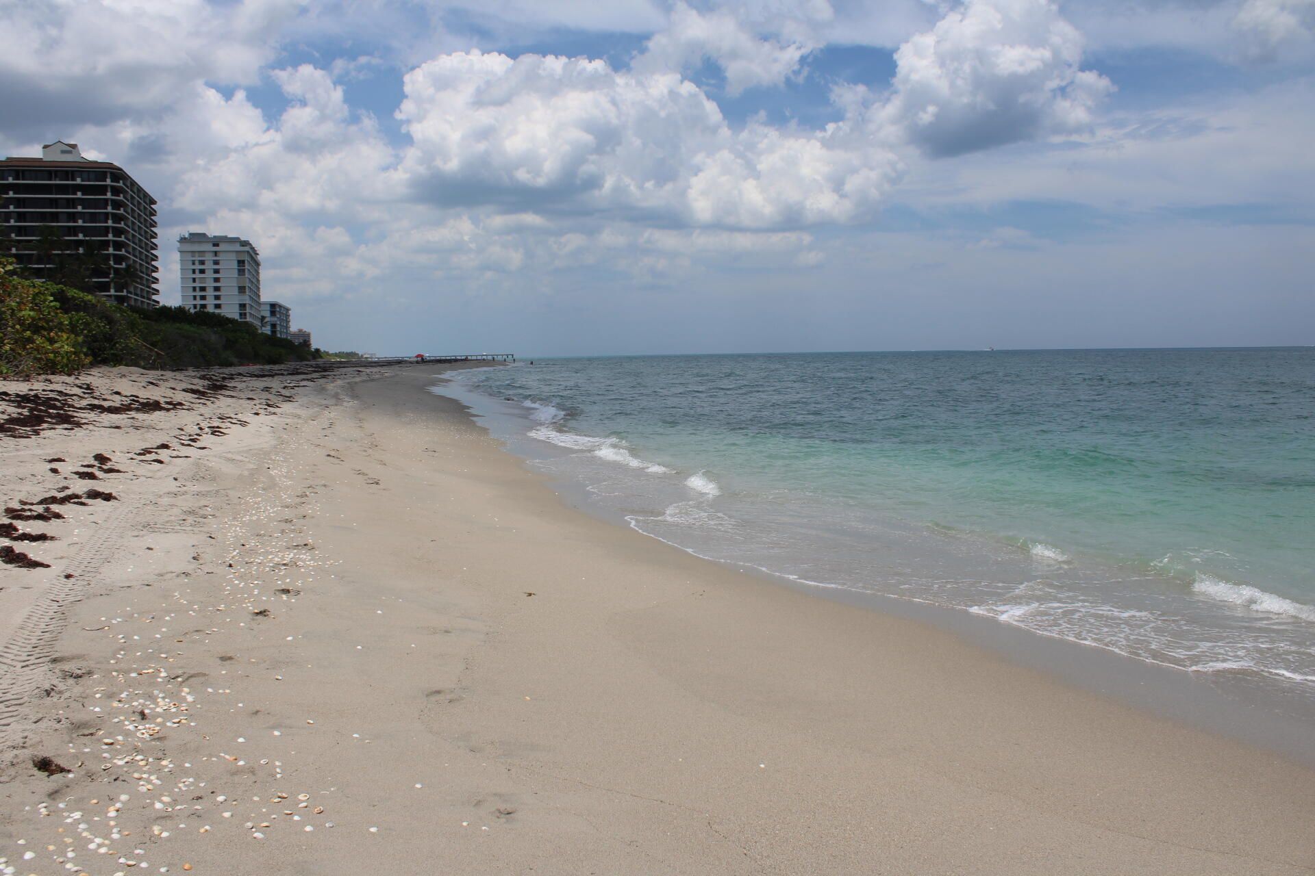 630 Ocean Drive, Unit 215, Juno Beach, FL 33408 Photo