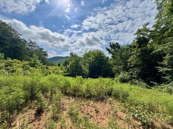 638 Black Feet Way, Del Rio, TN 37727