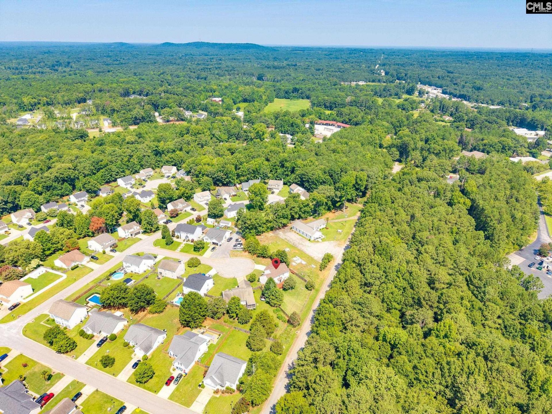 316 Turkey Beard Court Photo 48