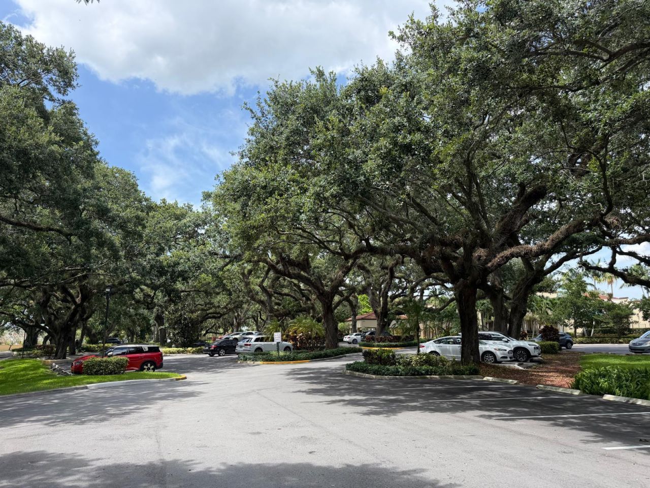 9470 Live Oak Place, Unit 404, Davie, FL 33324 Photo