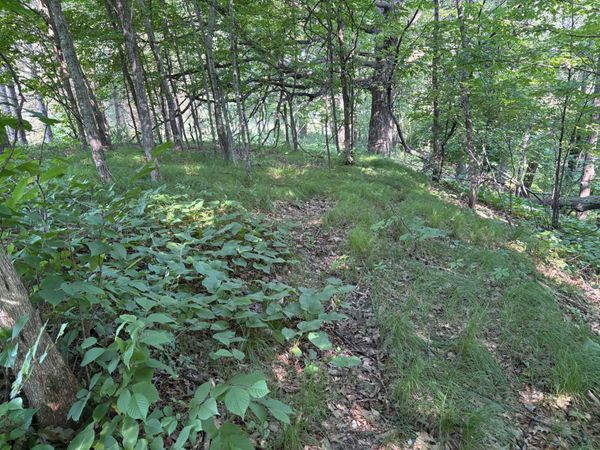 320th 320th Street , Browerville, MN 56438