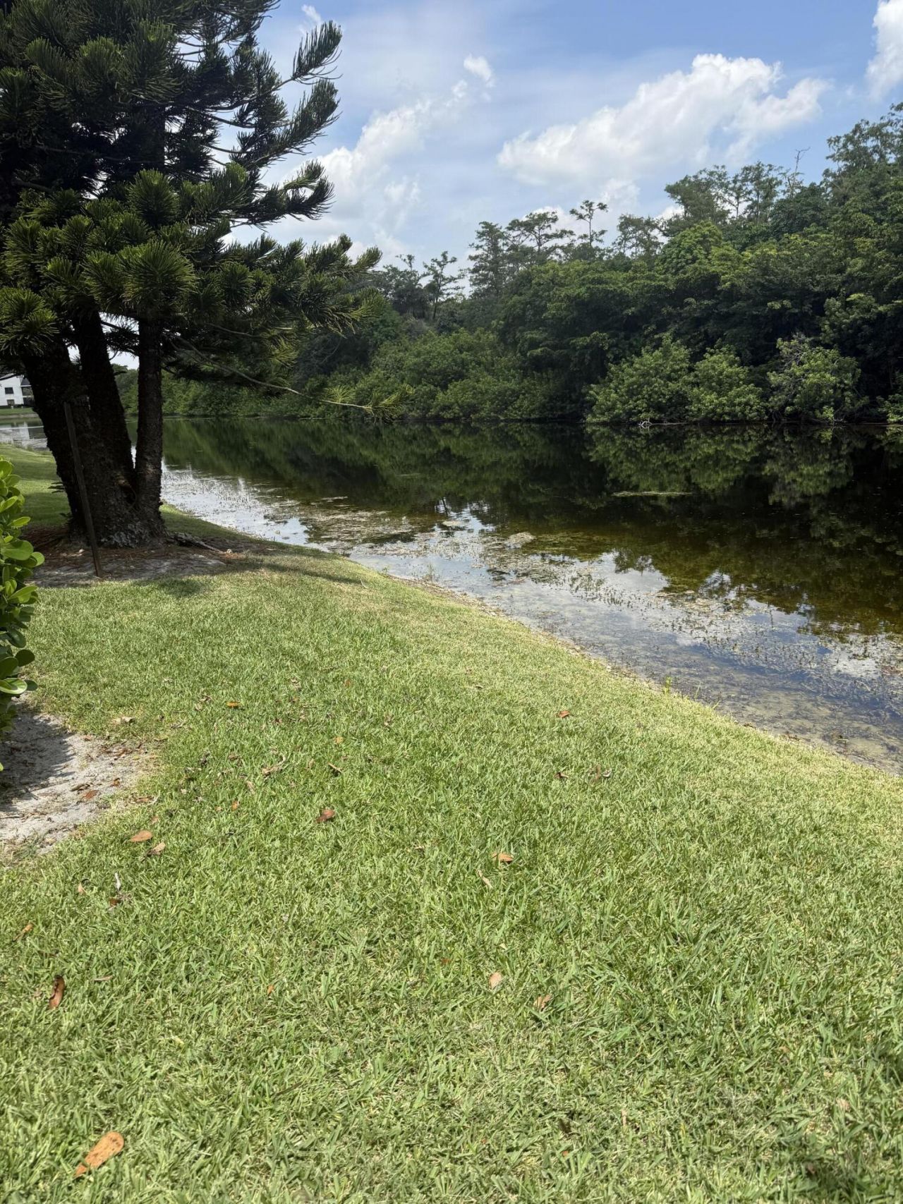 2671 Carambola Circle N, Unit 1755, Coconut Creek, FL 33066 Photo