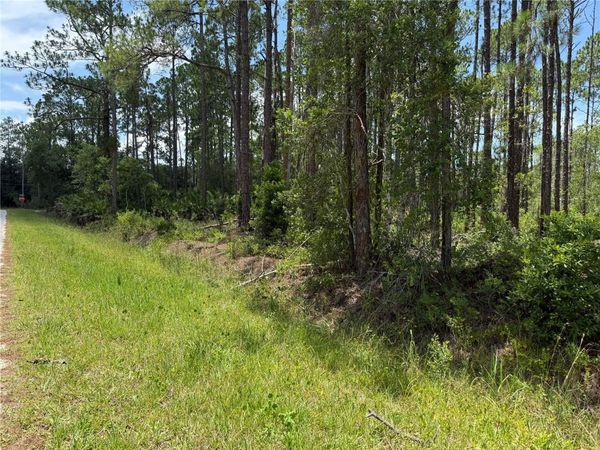 2914 AVOCADO BOULEVARD , BUNNELL, FL 32110