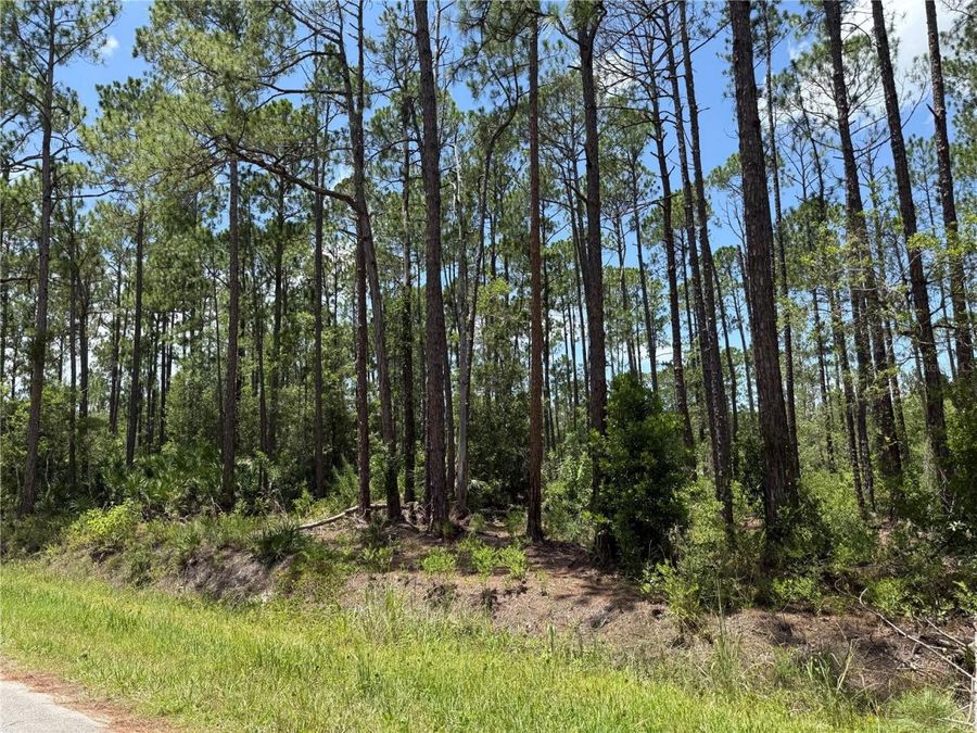 Property Image 6
