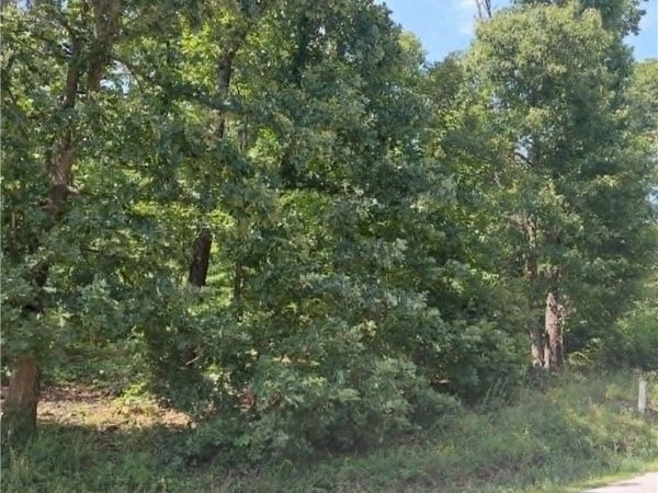 52 & 54 Kent Drive , Benton, AR 72714