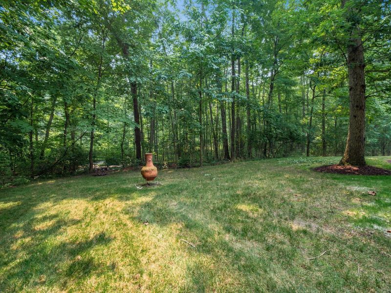 8483 Torwoodlee Court, Dublin, OH 43017 Photo 113