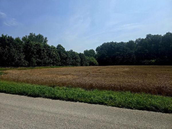 25 AC JUNIPER RD, Beaver Dam, WI 53916